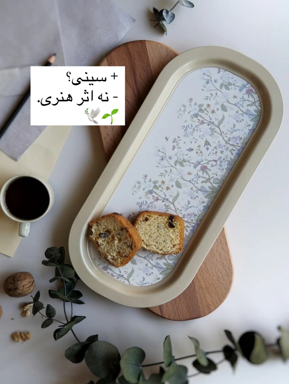 سینی گالوانیزه ترک طرح داستانی
