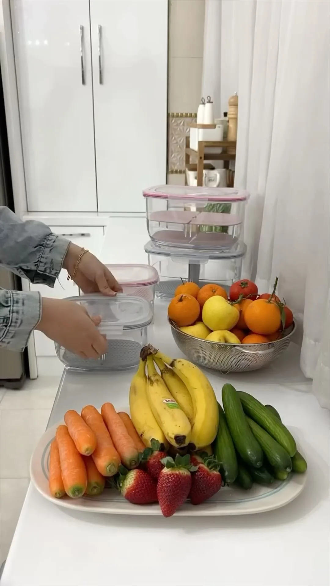 نظم‌دهنده چندمنظوره یخچال و سفر